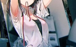 兰州西固86警花种子